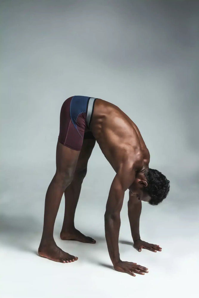 
                  
                    ACTIV-H Trunk
                  
                